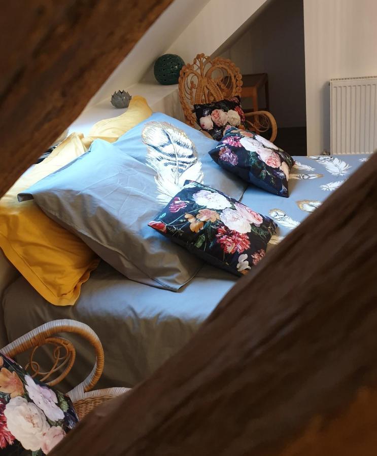 Maison Belenos Nevy-Sur-Seille Luaran gambar